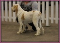 22-01-12 M GoodAsGold_IMG_7659